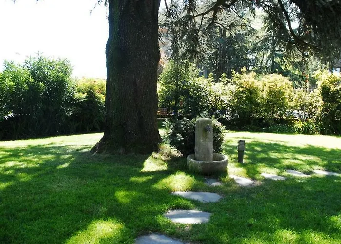 La Del Cedro *