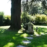 La Del Cedro *