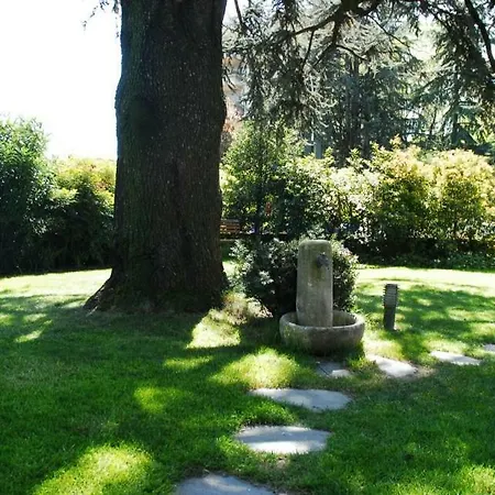 La Del Cedro *
